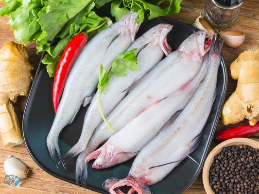 Bombay Duck (Bombil)