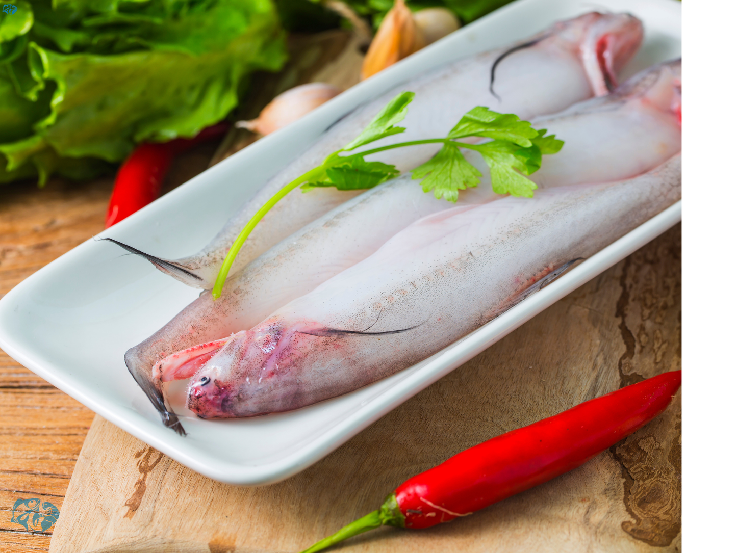 Bombay Duck (Bombil)
