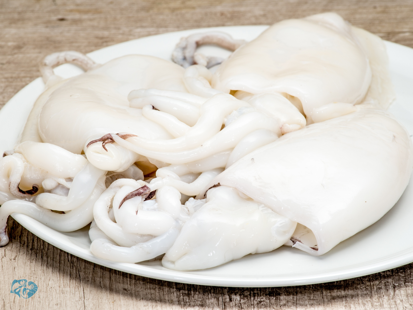 Baby Cuttelo Fish (Ghoti)