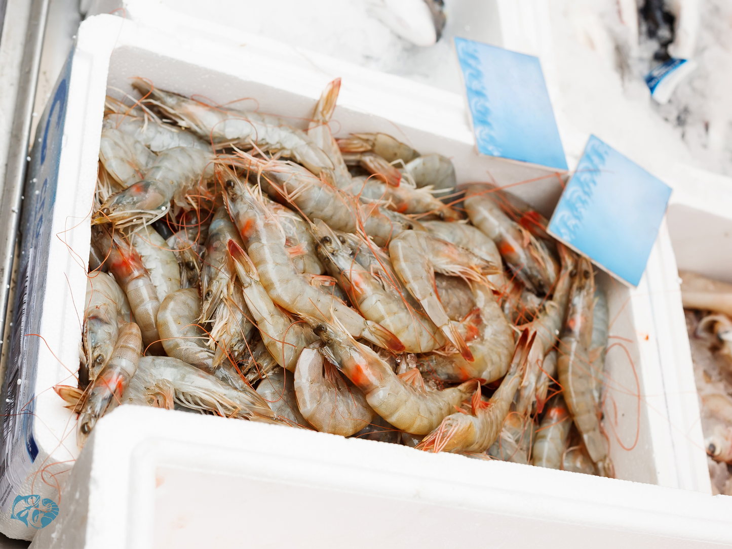 Medium Prawns - Ct 40-50 pc/kg