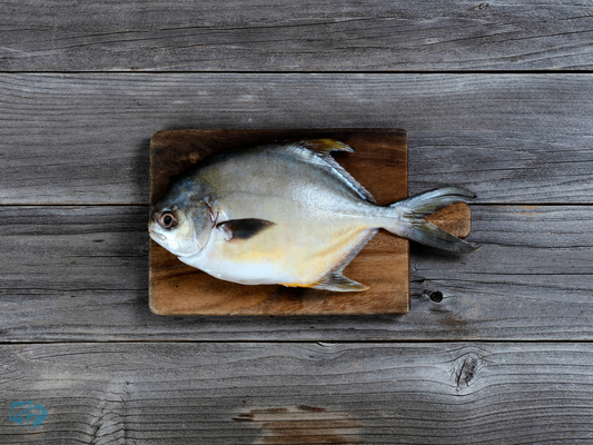 How to Buy Fresh Fish from the Market | Priyanka Sea Foods