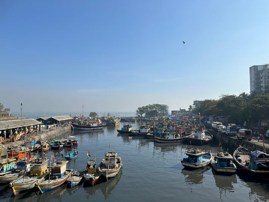 Sassoon Dock Colaba — Inside Mumbai’s Oldest Fish Market | Priyanka Sea Foods