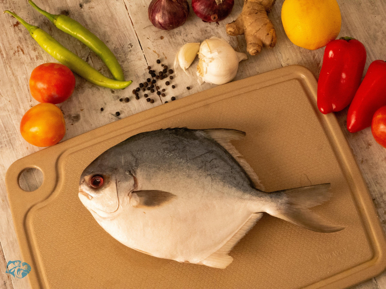 Fresh Fish