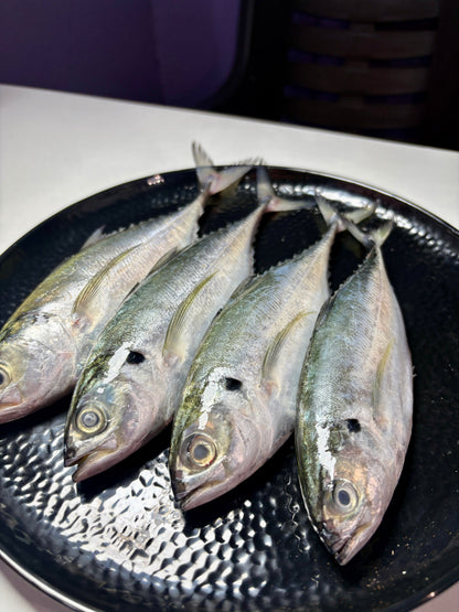Indian Mackerel (Bangda)