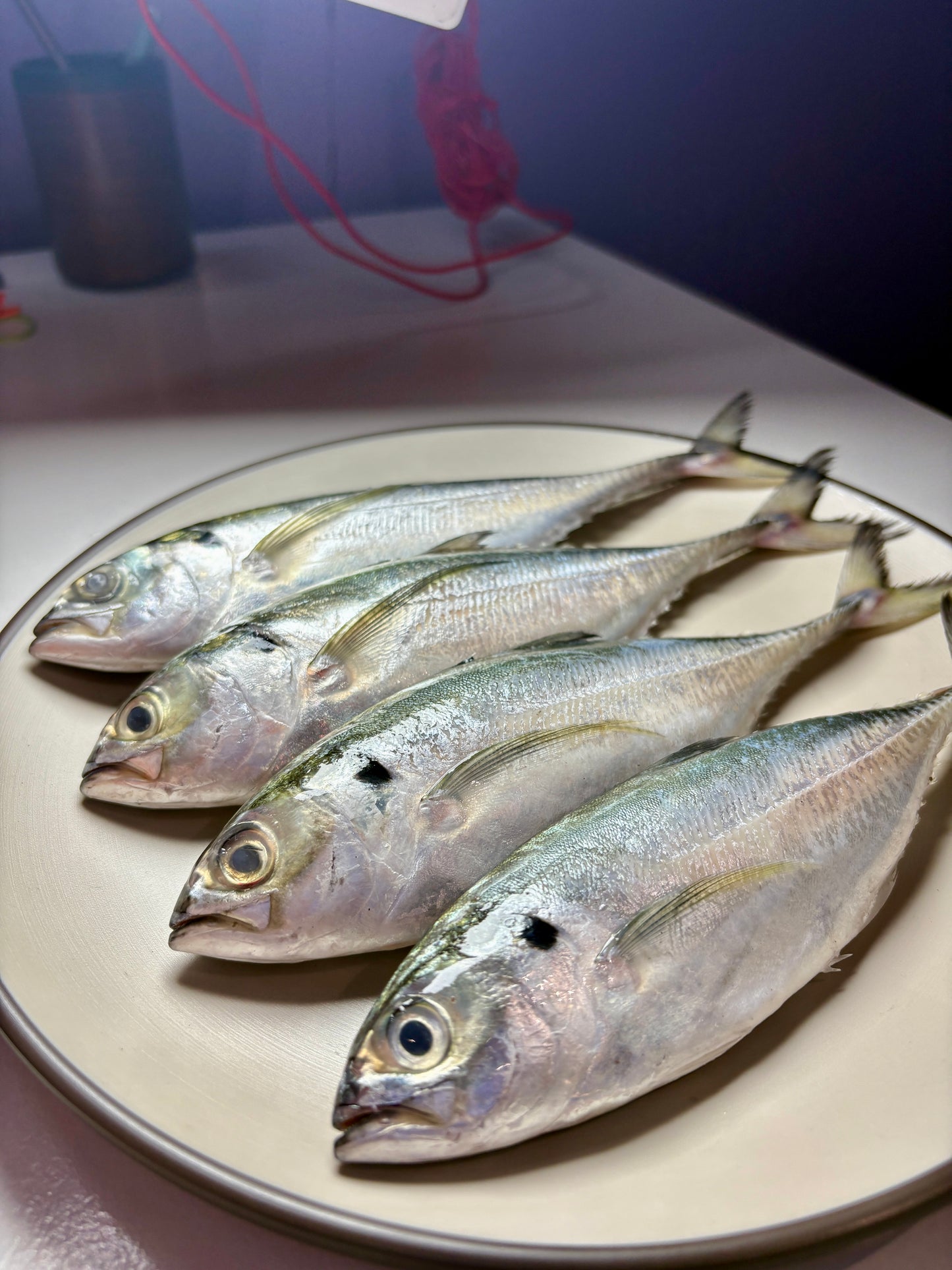 Indian Mackerel (Bangda)