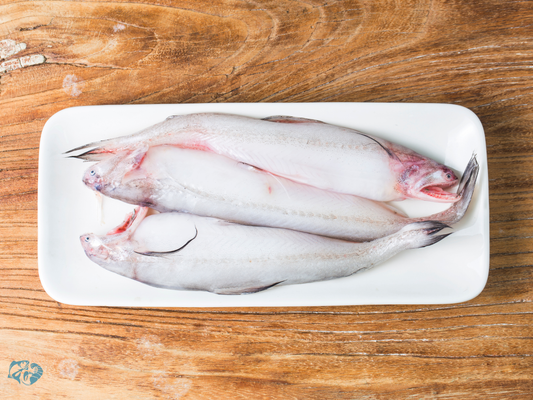 Bombay Duck (Bombil)