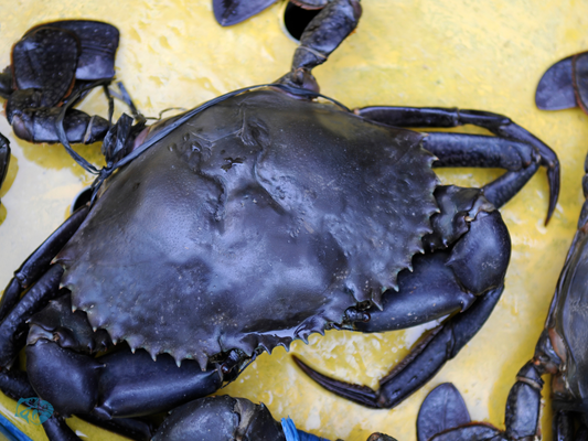 Crabs (Khekada)