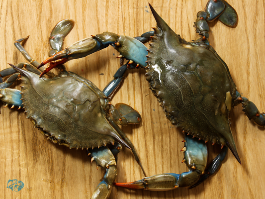 Crabs (Khekada)