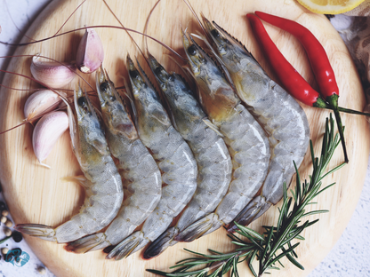 Medium Prawns - Ct 40-50 pc/kg