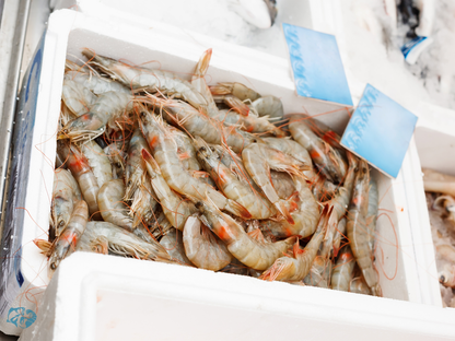 Medium Prawns - Ct 40-50 pc/kg