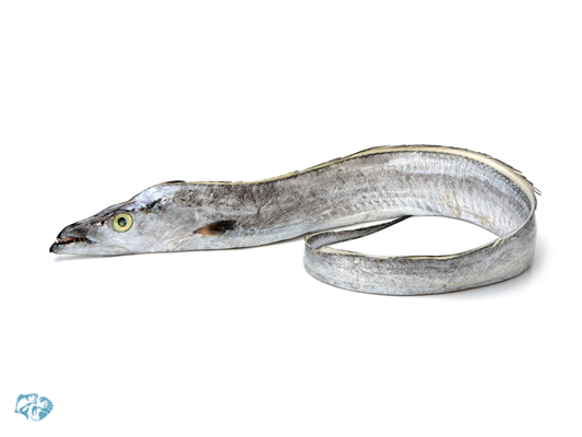 Ribbon Fish (Wagati / Bagga)