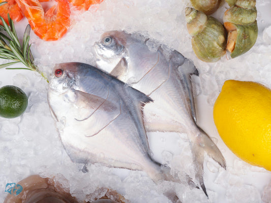 Silver Pomfret (Paplet)