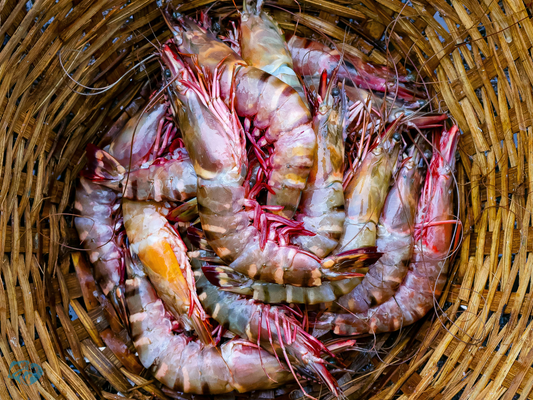 Tiger Prawns | Cleaned & Deviened | Ct 10-12