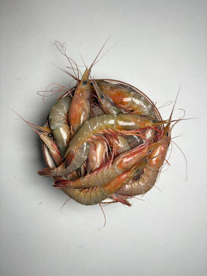 Tiny Prawns (Kolambi) - Cleaned | Ct - 100-120